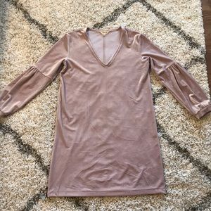 Madewell Pink Velvet Dress